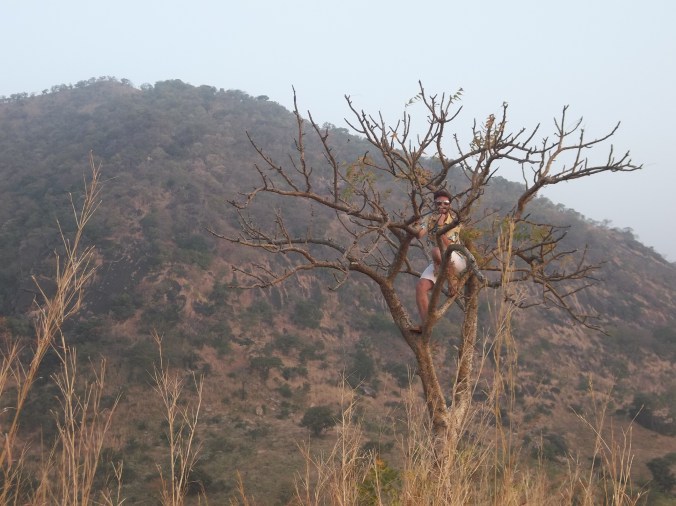 After our second day of surveys, Will and I climbed a hill, and then Will climbed a tree on that hill.