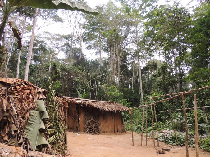 Photo credit: Shannon Clawson