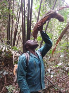 Photo credit: Shannon Clawson