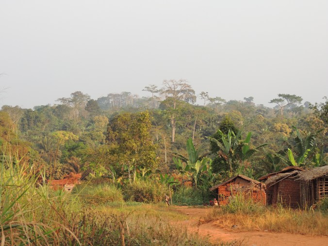 Photo credit: Shannon Clawson