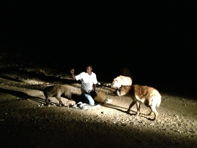 The Harar hyena man. 